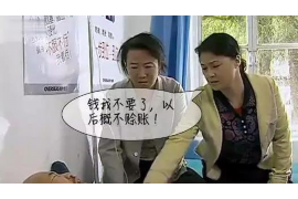 蒙阴债务清欠服务